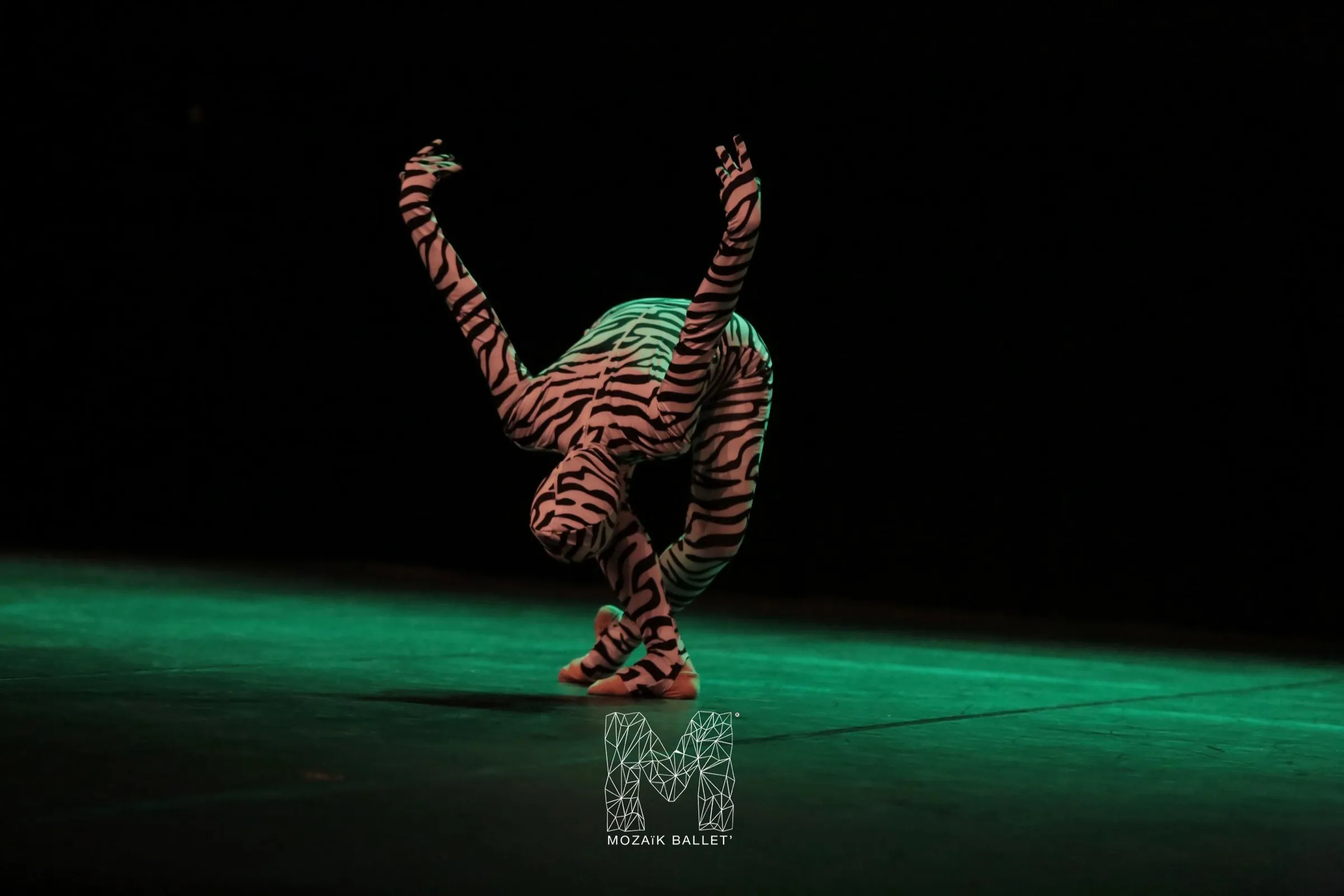 Danseuse en extension, contre-jour